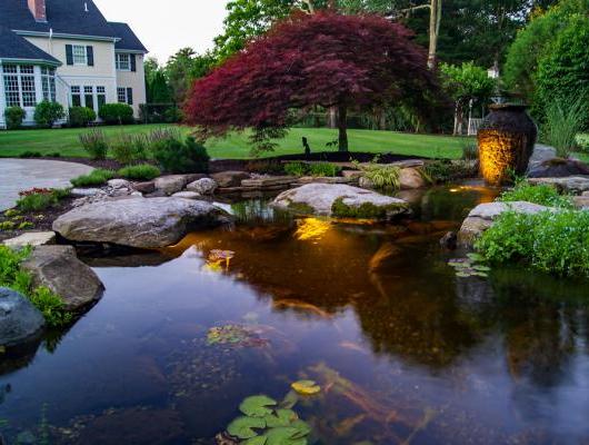 Residential Landscape Water Feature by FallingWater Scapes