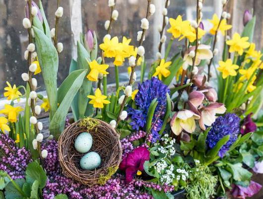 Window box arrangement for spring